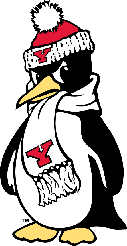 Youngstown State Penguins 1993-Pres Alternate Logo v4 diy iron on heat transfer...